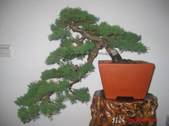 Ƭ 090.jpg