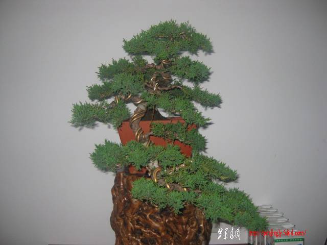 Ƭ 092.jpg