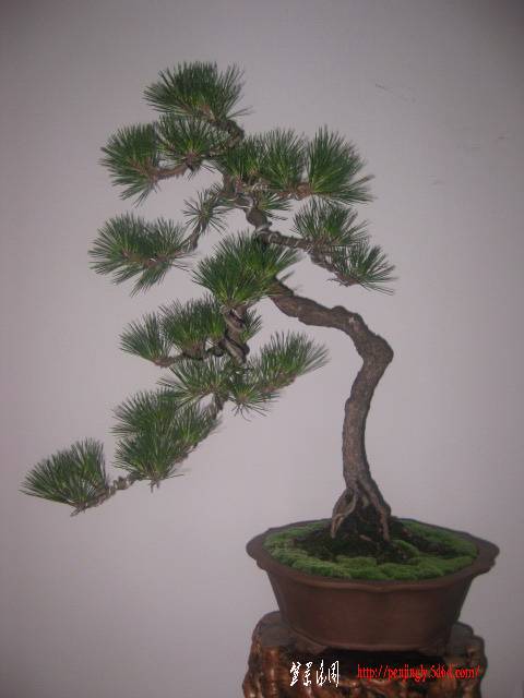 Ƭ 087.jpg