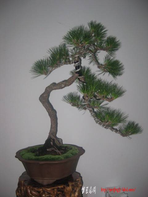 Ƭ 089.jpg