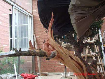 DSCF5756.JPG