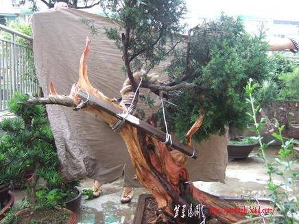 DSCF5769.JPG