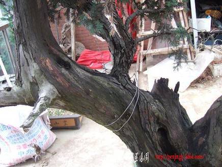 DSCF5752.JPG
