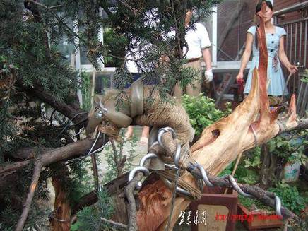 DSCF5767.JPG