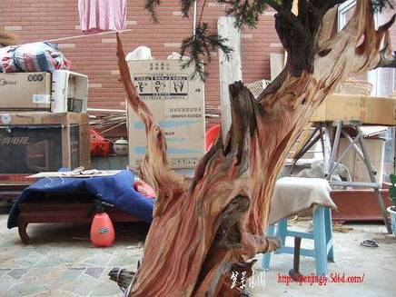 DSCF5762.JPG