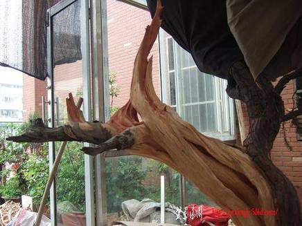 DSCF5757.JPG