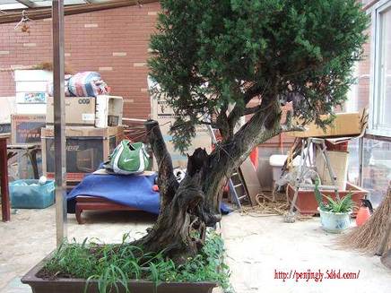 DSCF5748.JPG