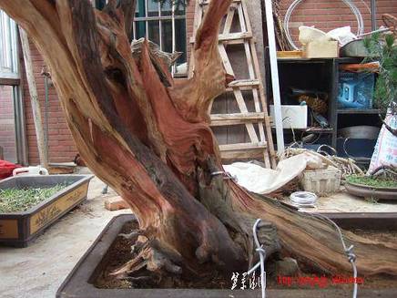 DSCF5759.JPG