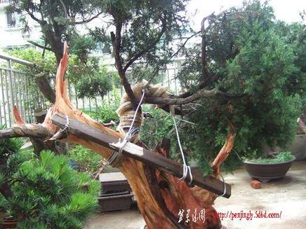 DSCF5768.JPG