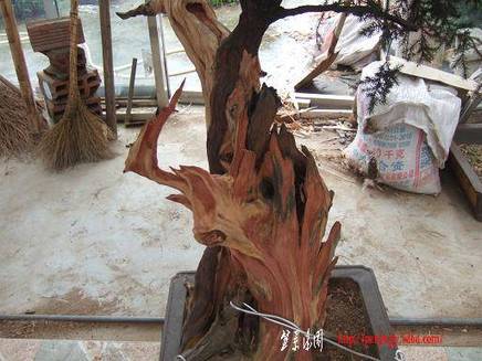 DSCF5761.JPG