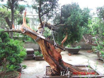 DSCF5765.JPG