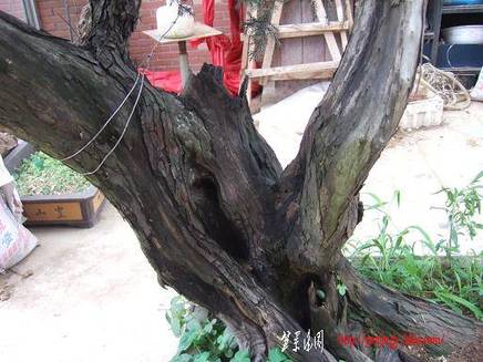 DSCF5751.JPG