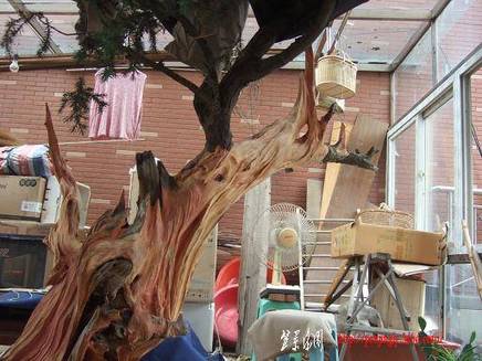 DSCF5764.JPG