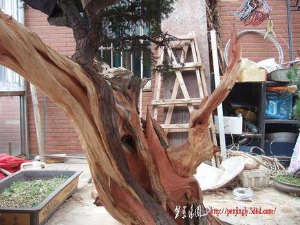 DSCF5758.JPG