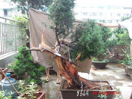 DSCF5771.JPG