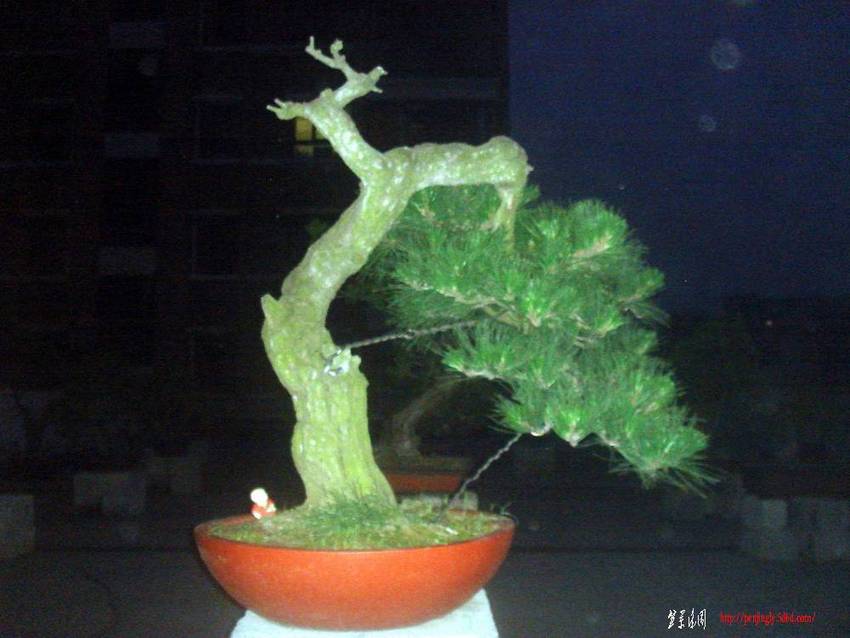 Խ1.JPG