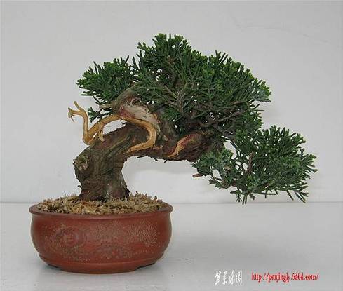 image3836.jpg