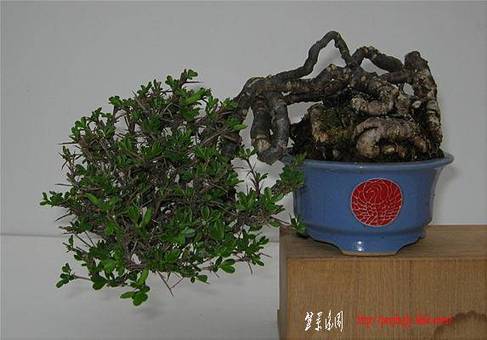 image3818.jpg