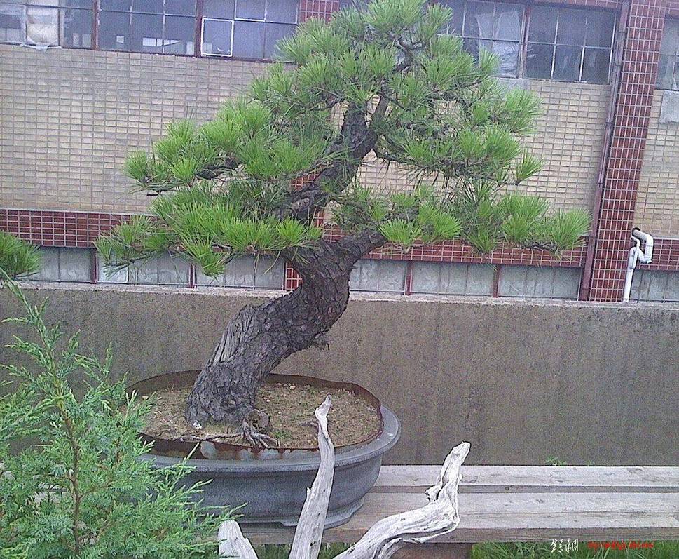 IMG0628132400.jpg