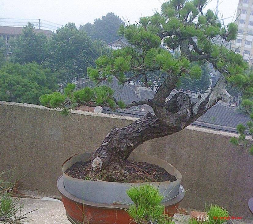 IMG0628132100.jpg