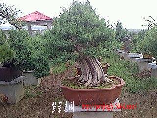 IMG0626160600.jpg