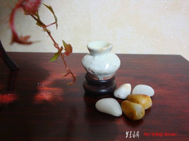 DSC05283.JPG