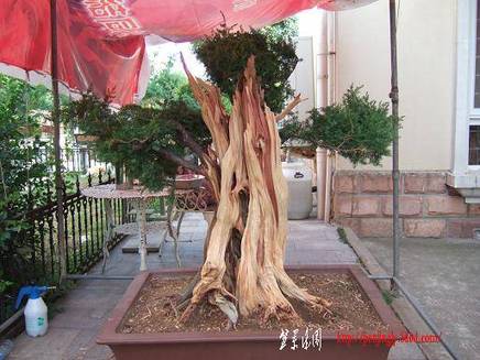 DSCF5793.JPG