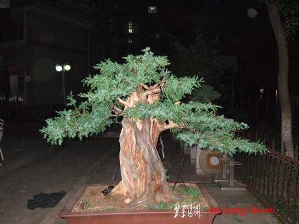 DSCF5797.JPG