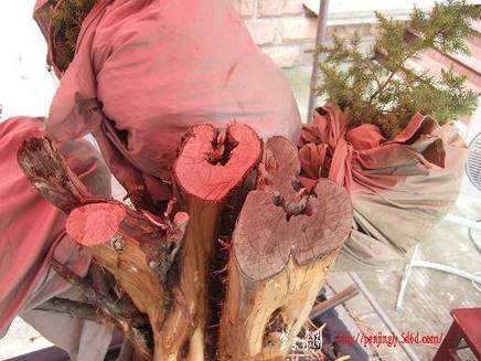 DSCF5780.JPG