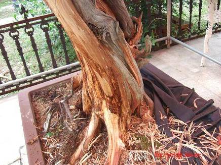DSCF5783.JPG