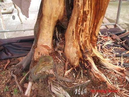 DSCF5778.JPG