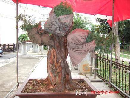DSCF5772.JPG