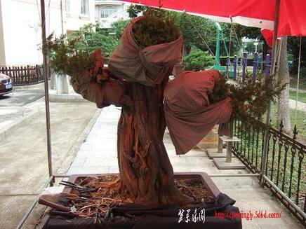 DSCF5784.JPG