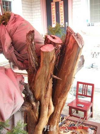 DSCF5781.JPG