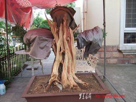 DSCF5786.JPG