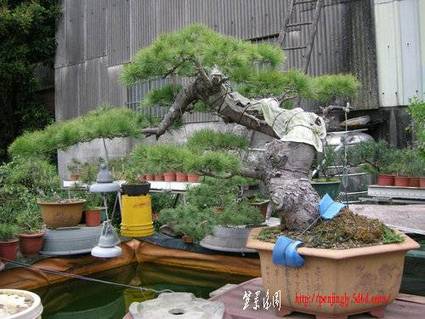 ap_F23_20100325101810916.jpg