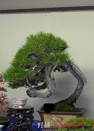 ap_F23_20110705110822768.jpg