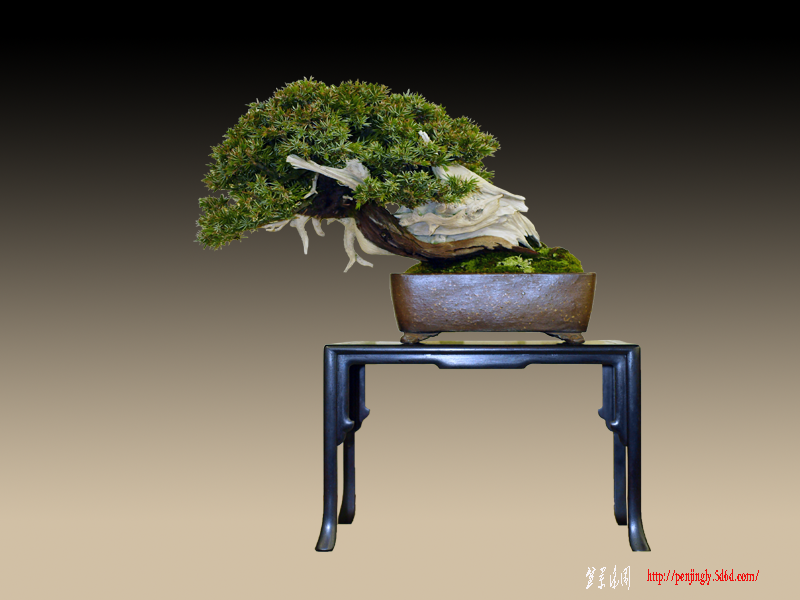 toshou.png