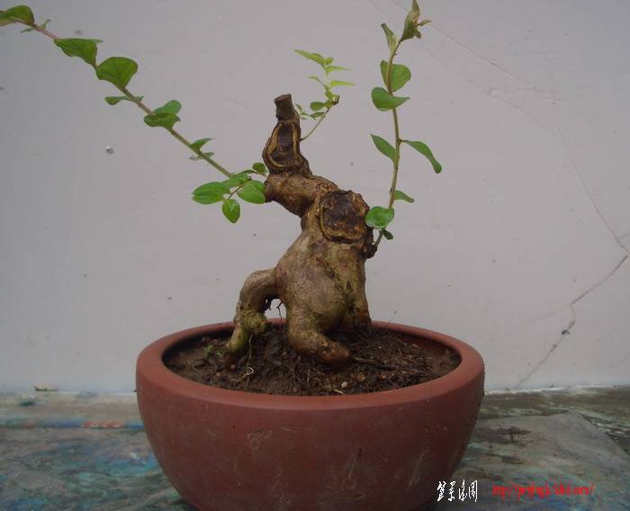 ޱ11711.JPG