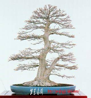 23meif-ohoishi-kezho1.jpg
