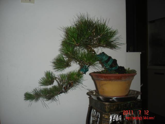 DSC01587.JPG