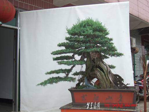 DSCF5873.JPG
