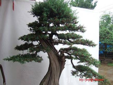 DSCF5855.JPG