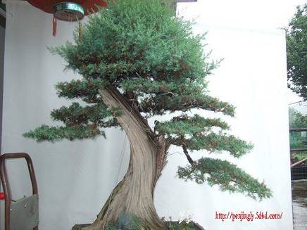 DSCF5849.JPG