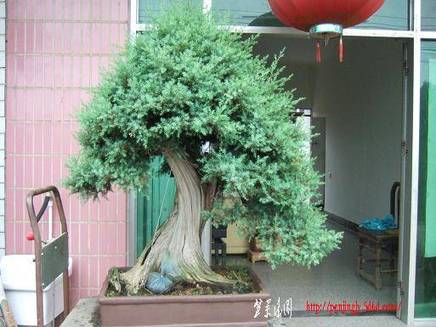 DSCF5845.JPG