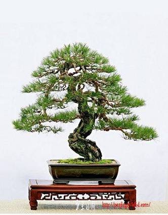 4856.jpg