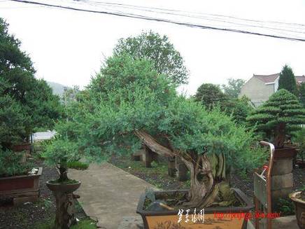 DSCF5879.JPG