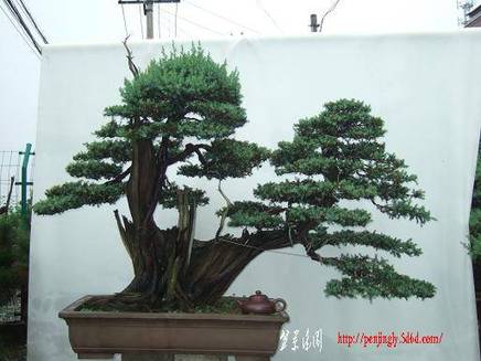 DSCF5864.JPG