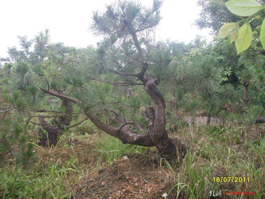SDC10935.JPG