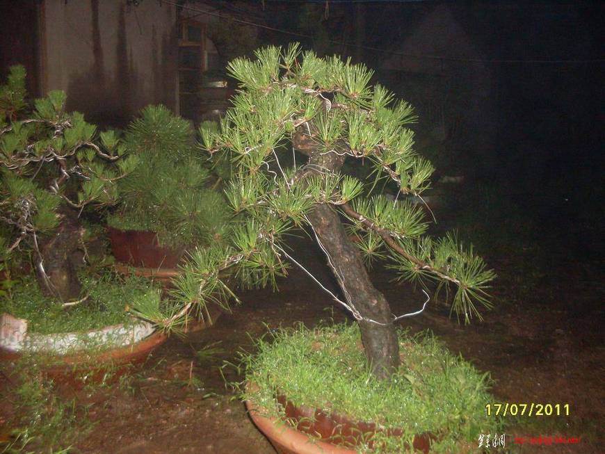 SDC10965.JPG